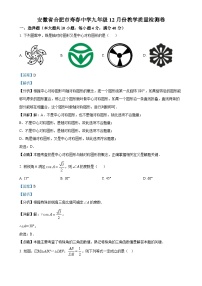 精品解析：安徽省合肥市寿春中学2023-2024学年九年级上学期月考数学试题（解析版）-A4