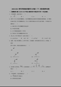 河南济源人教版2020年~2021年数学七年级下册期末卷  试卷