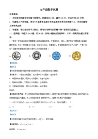 河南省洛阳市老城区2024-2025学年九年级上学期11月期中考试数学试题 （解析版）-A4