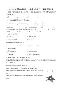 吉林省辽源市东丰县2023-2024学年七年级上学期期末测试数学试卷(含解析)