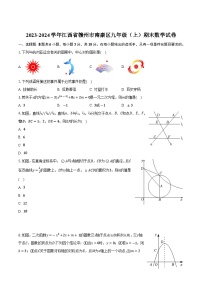 江西省赣州市南康区2024届九年级上学期期末考试数学试卷(含答案)