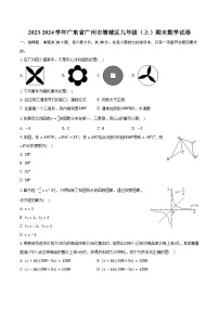 广东省广州市增城区2024届九年级上学期期末考试数学试卷(含答案)