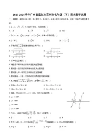 广东省湛江市雷州市2023-2024学年七年级下学期7月期末考试数学试卷(含答案)
