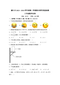 广东省湛江市廉江市2023-2024学年八年级上学期期末考试数学试卷(含答案)