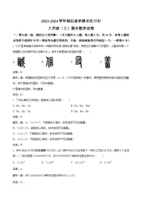 湖北省孝感市汉川市2023-2024学年八年级上学期期末考试数学试卷(含解析)