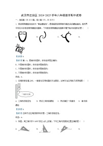 湖北省武汉市江岸区2024-2025学年八年级(上)期中数学试卷(解析版)