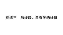 初中数学新湘教版七年级上册期末专练三 与线段、角有关的计算作业课件2024秋