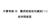 初中数学新湘教版七年级上册期末计算专练12 整式的加法与减法（一）合并同类项作业课件2024秋