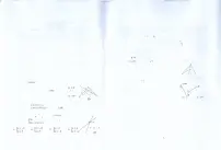 安徽省滁州市全椒县2024-2025学年八年级上学期11月期中数学试题
