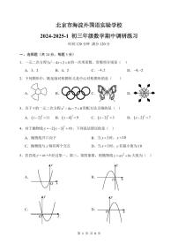 北京市海淀外国语实验学校20245--2025学年上学期九年级期中考试数学试卷