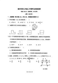 四川省成都市第四十九中学校2024-2025学年上学期期中考试九年级数学试题