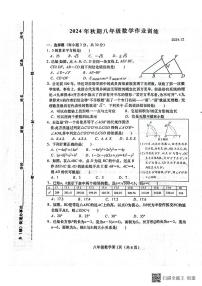河南省南阳市镇平县2024-2025学年八年级上学期12月月考数学试题