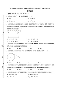 江苏省盐城市东台市第一教育联盟2024-2025学年九年级上学期12月月考数学试题