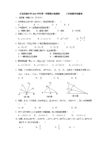 浙江省宁波市江北实验中学2024-2025学年八年级上学期期中考试数学试题