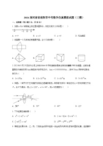 2024届河南省南阳市中考数学仿真模拟试题（三模）含解析