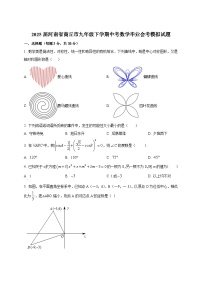 2025届河南省商丘市九年级下学期中考数学毕业会考模拟试题（含解析）