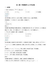 江苏省苏州市南环实验中学校2023-2024学年九年级上学期12月月考数学试题（解析版）-A4