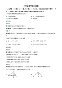 山东省菏泽市巨野县2024-2025学年八年级上学期11月期中考试数学试题（解析版）-A4