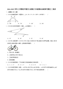 2024-2025学年上学期初中数学人教版八年级期末必刷常考题之三角形练习