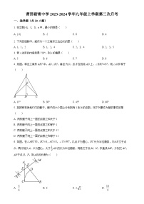 福建省莆田砺青中学2023-2024学年九年级上学期第三次月考数学试题（原卷版）-A4