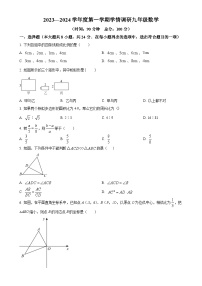 江苏省徐州市丰县七校2023-2024学年九年级上学期12月月考数学试题（原卷版）-A4