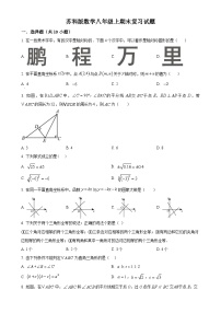 2024--2025学年人教版七年级数学上册期末复习试题 （原卷版）-A4