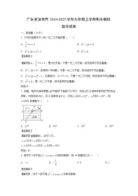 广东省深圳市2024-2025学年九年级(上)期末数学模拟试卷(解析版)