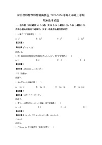 河北省邯郸市邯郸冀南新区2023-2024学年七年级(上)期末数学试卷(解析版)