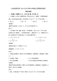 山东省青岛市2023-2024学年七年级(上)期末模拟数学试卷(解析版)