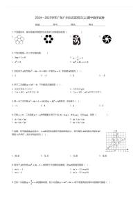 2024～2025学年广东广州白云区初三(上)期中数学试卷(含解析)