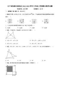 辽宁省抚顺市新抚区2022-2023学年八年级上学期期末数学试题（人教版，含答案)