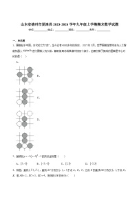 山东省德州市夏津县2024届九年级上学期期末考试数学试卷(含解析)