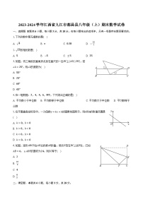 江西省九江市都昌县2023-2024学年八年级上学期期末考试数学试卷(含答案)
