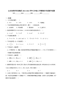 山东省菏泽市定陶区2023-2024学年七年级上学期期末考试数学试卷(含解析)