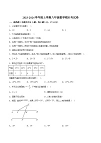 陕西省宝鸡市扶风县2023-2024学年八年级上学期期末考试数学试卷(含答案)