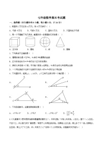 陕西省宝鸡市扶风县2023-2024学年七年级上学期期末考试数学试卷(含答案)