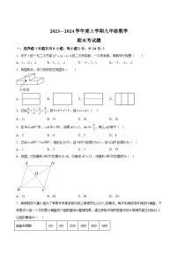 陕西省宝鸡市扶风县2024届九年级上学期期末考试数学试卷(含答案)