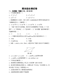 期末综合测试卷（试卷） -2024-2025学年北师大版七年级数学下册