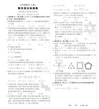 2024-2025学年七年级上学期数学期末试卷（人教版）