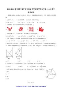 2024～2025学年四川省广安市友谊中学实验学校九年级(上)期中数学试卷(含答案)
