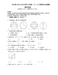 辽宁省鞍山市台安县2024-2025学年九年级上学期12月月考数学试题