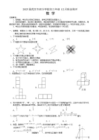 湖北省武汉市部分学校2024-2025学年九年级上学期12月联合测评数学试卷