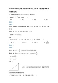 2023-2024学年安徽省合肥市肥东县九年级上学期数学期末试题及答案