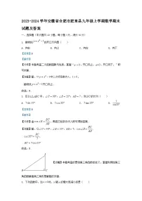 2023-2024学年安徽省合肥市肥东县九年级上学期数学期末试题及答案
