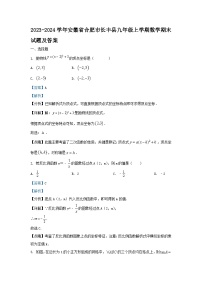 2023-2024学年安徽省合肥市长丰县九年级上学期数学期末试题及答案