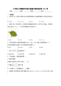 八年级上学期数学北师大版期末模拟测试卷（B）卷(含答案)