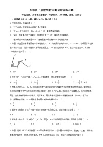 2024-2025学年人教版九年级上册数学期末测试综合练习题（原卷版）-A4