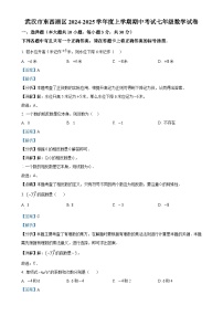 湖北省武汉市东西湖区2024-2025学年 上学期期中考试七年级数学试卷（解析版）-A4
