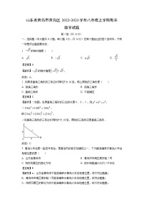 2022~2023学年山东省青岛市黄岛区八年级(上)期末数学试卷(解析版)