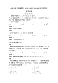 2022~2023学年山东省青岛市即墨区八年级(上)期末数学试卷(解析版)